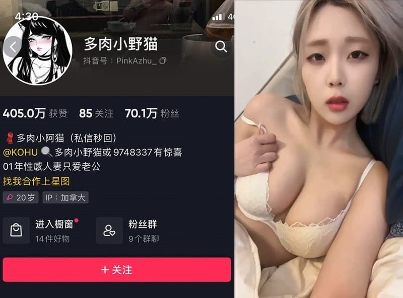 多肉小野猫 – 微密圈写真&视频合集【持续更新中】-美图堂